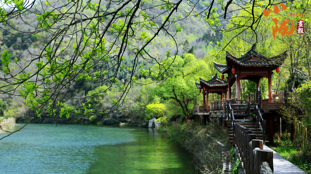 【小隴畫報(bào)·485期】春染康縣 半村流水半村花