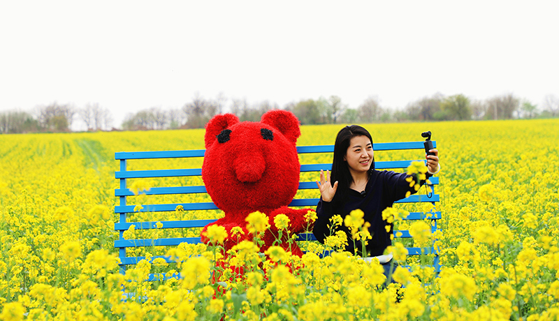 寧縣：“五一”假期花海文旅市場(chǎng)人氣旺
